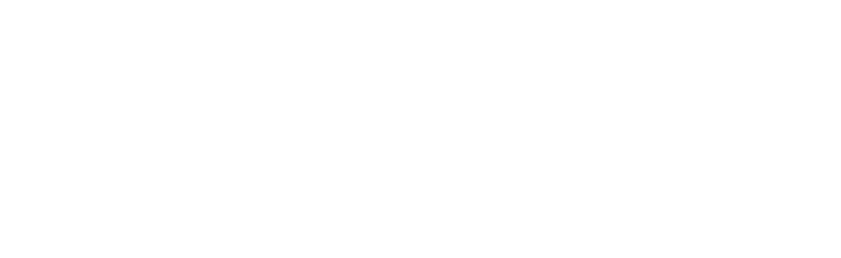 Bull Investimentos - Logo-2
